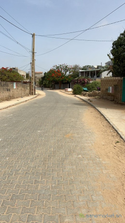 terrain-de-487-metres-carres-a-saly-senegal-big-1