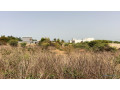terrain-de-600-metres-carres-a-vendre-a-somone-senegal-small-1