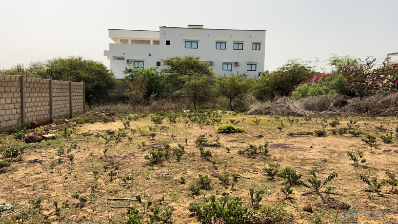 terrain-de-600-metres-carres-a-vendre-a-somone-senegal-big-2