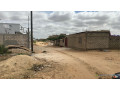 terrains-de-300-metres-carres-a-vendre-a-malicounda-sn-small-1