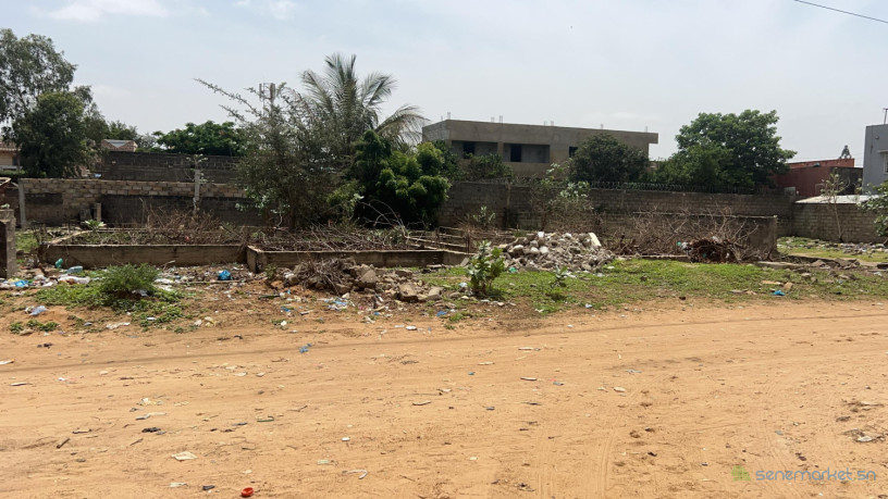 terrain-de-500-metres-carres-a-vendre-a-mbour-senegal-big-2