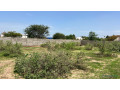 terrains-de-687-metres-carres-a-vendre-a-ndiorokh-senegal-small-3