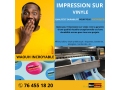 impression-sur-vinyle-de-qualite-small-0