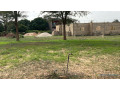 terrain-de-300-m2-a-vendre-a-malicounda-keur-waly-small-3