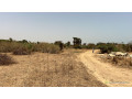 terrains-jumeles-de-300-metres-carres-a-vendre-a-saly-joseph-small-4
