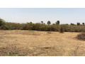 terrains-jumeles-de-300-metres-carres-a-vendre-a-saly-joseph-small-2