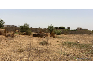 Terrains jumelés de 300 mètres carrés à vendre à Saly joseph