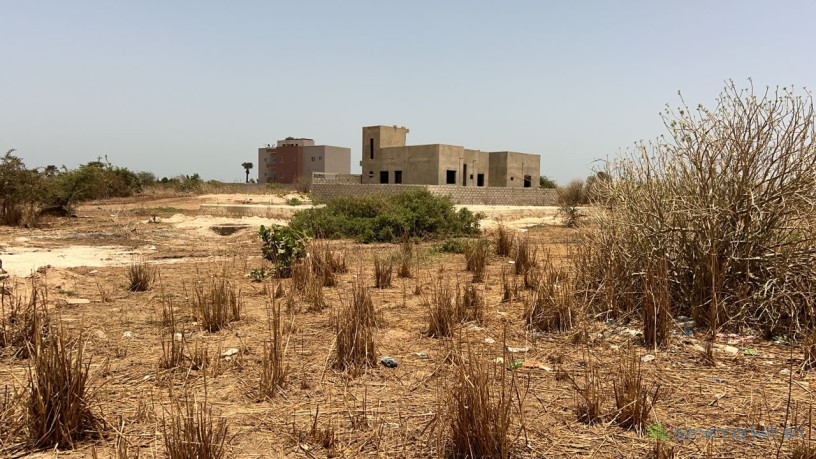 terrains-jumeles-de-300-metres-carres-a-vendre-a-saly-joseph-big-3