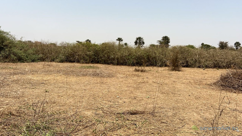 terrains-jumeles-de-300-metres-carres-a-vendre-a-saly-joseph-big-2