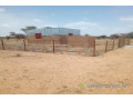 verger-de-294-hectares-vers-ngourane-ouolof-small-1