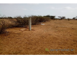 Verger de 2,94 hectares vers Ngourane Ouolof