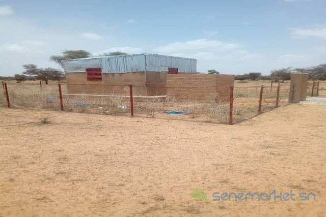 verger-de-294-hectares-vers-ngourane-ouolof-big-1