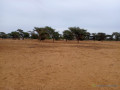 terrain-de-154-hectare-vers-touba-toul-small-1