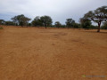 terrain-de-154-hectare-vers-touba-toul-small-2