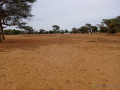 terrain-de-154-hectare-vers-touba-toul-small-0
