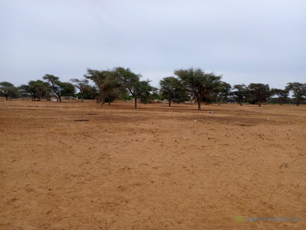 terrain-de-154-hectare-vers-touba-toul-big-1