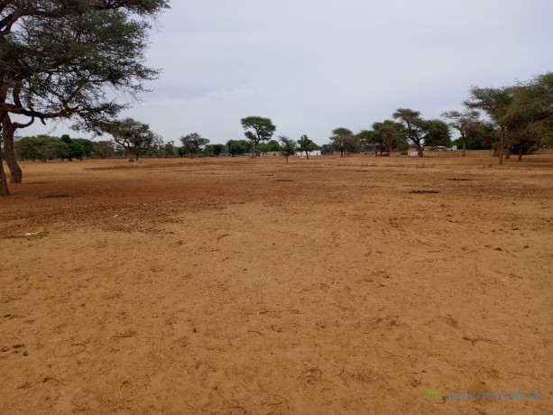 terrain-de-154-hectare-vers-touba-toul-big-0