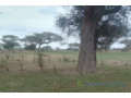 terrain-de-10-hectares-vers-koul-small-0