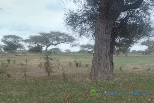 terrain-de-10-hectares-vers-koul-big-0