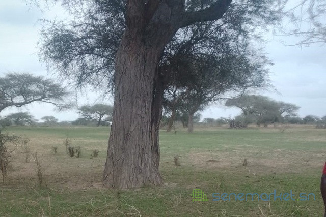 terrain-de-10-hectares-vers-koul-big-2