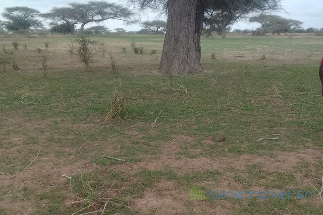terrain-de-10-hectares-vers-koul-big-1