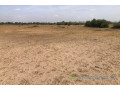 terrain-de-3-hectares-vers-tassette-small-1
