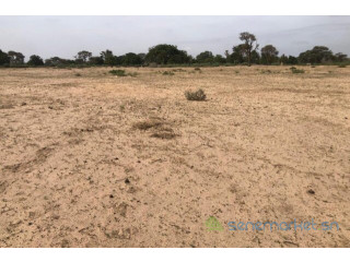 Terrain de 3 hectares vers Tassette