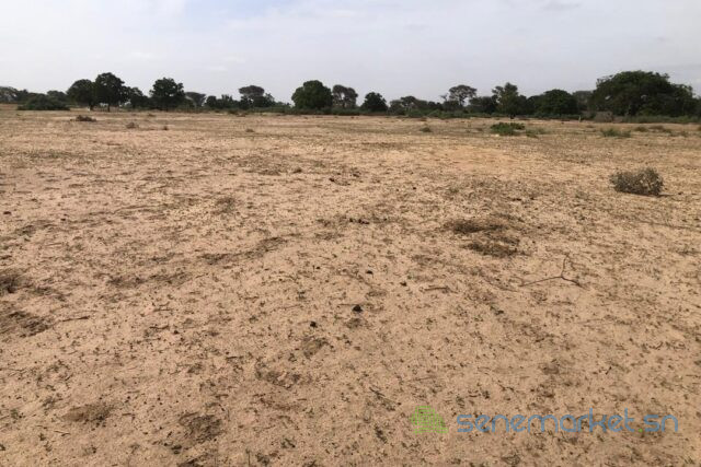 terrain-de-3-hectares-vers-tassette-big-2