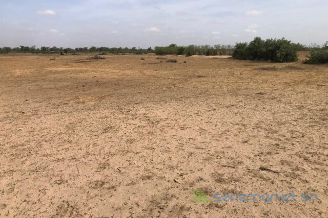 terrain-de-3-hectares-vers-tassette-big-1