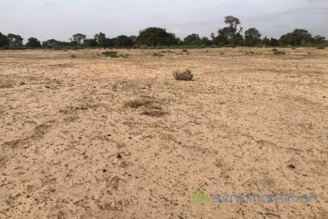 terrain-de-3-hectares-vers-tassette-big-0