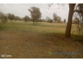 terrain-de-3-hectares-vers-koul-small-2