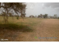 terrain-de-3-hectares-vers-koul-small-1