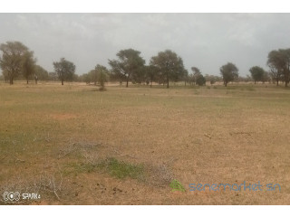 Terrain de 3 hectares. vers Koul