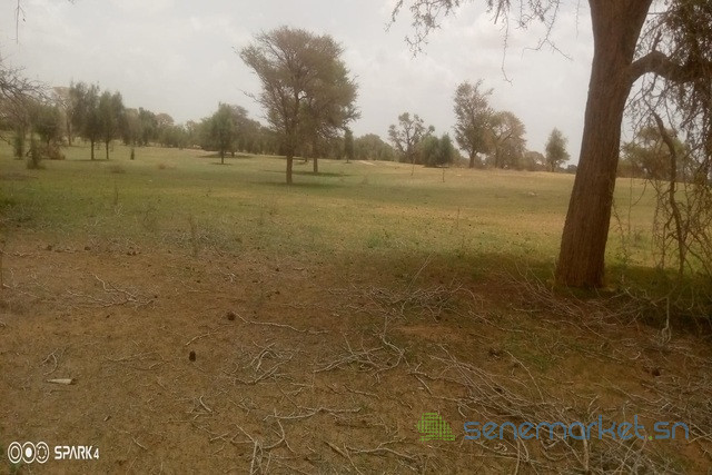 terrain-de-3-hectares-vers-koul-big-2