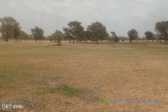 terrain-de-3-hectares-vers-koul-big-0