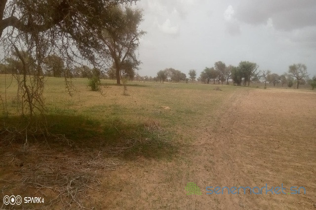 terrain-de-3-hectares-vers-koul-big-1