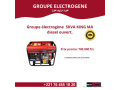 groupes-electrogenes-essence-diesel-en-vente-small-2