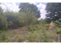 terrain-de-1-hectare-vers-kafountine-small-0