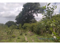 terrain-de-1-hectare-vers-kafountine-small-1