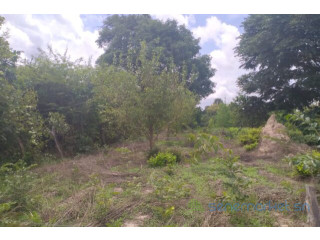 Terrain. de 1 hectare vers Kafountine