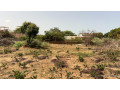 terrain-de-543-metres-carres-a-vendre-a-somone-senegal-small-2