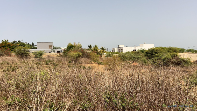 terrain-de-543-metres-carres-a-vendre-a-somone-senegal-big-3