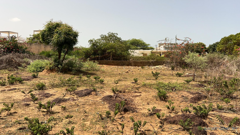 terrain-de-543-metres-carres-a-vendre-a-somone-senegal-big-2