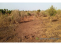 terrain-de-15-hectare-vers-sindia-small-2