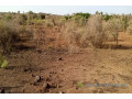 terrain-de-15-hectare-vers-sindia-small-0