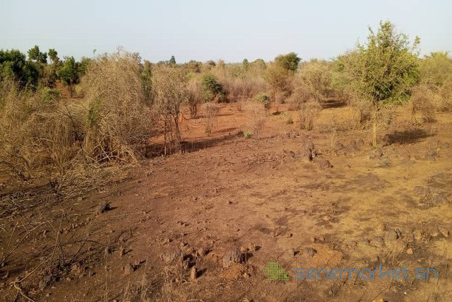 terrain-de-15-hectare-vers-sindia-big-2