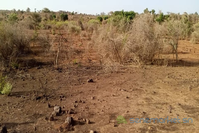 terrain-de-15-hectare-vers-sindia-big-0