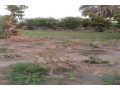 verger-de-15-hectare-vers-gandon-small-1