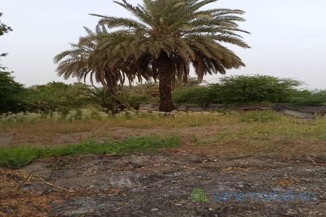 verger-de-15-hectare-vers-gandon-big-2