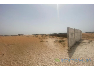Terrain de 8 hectares vers Kayar